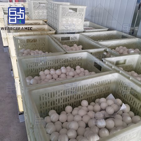 IMG20250930104100 IMG20250930104100